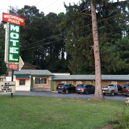 Whispering Pines Motel - แอชวิลล์ ภายนอก รูปภาพ