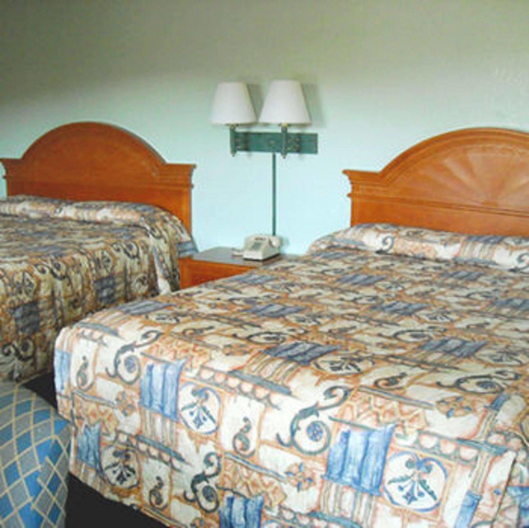 Whispering Pines Motel - แอชวิลล์ ห้อง รูปภาพ