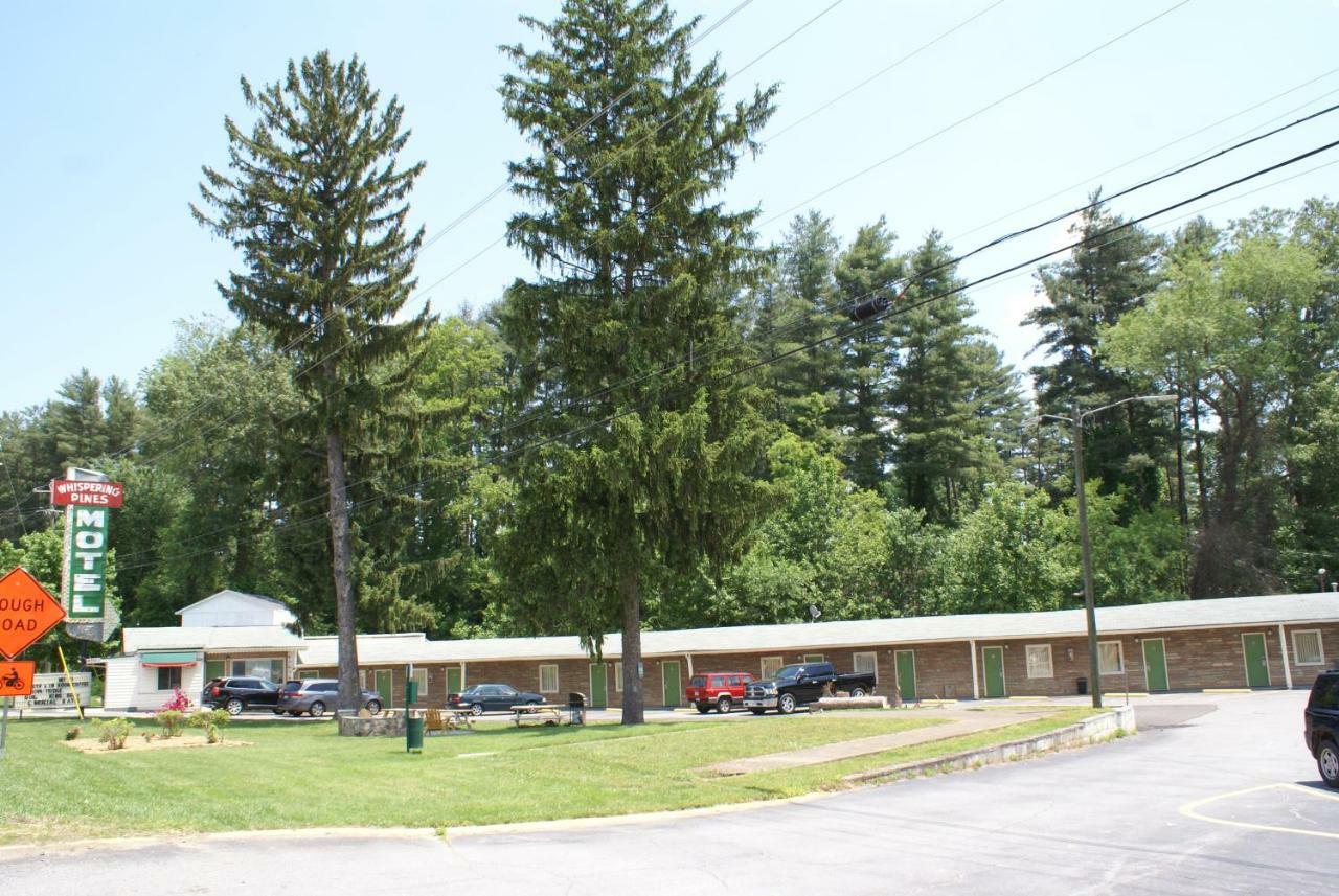Whispering Pines Motel - แอชวิลล์ ภายนอก รูปภาพ